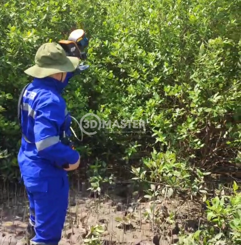 3D MASTER scans 3D mangrove forest in Cà Mau for Carbon credit assessment