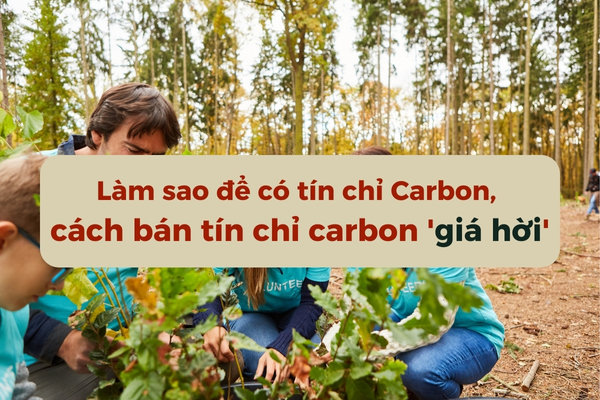 How to Obtain Carbon Credits and Sell Them at a Competitive Price