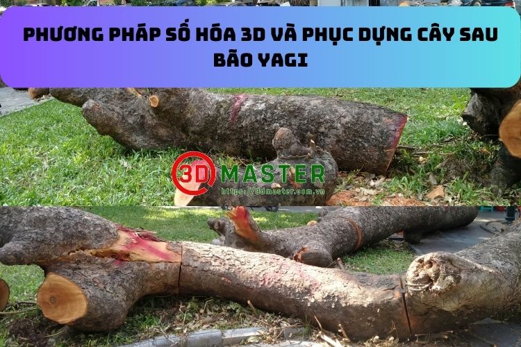 3D digitalization and tree restoration after typhoon Yagi