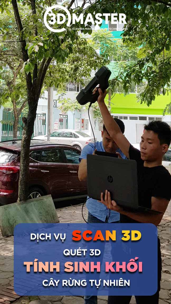 Dịch vụ scan 3D tính sinh khối cây rừng tự nhiên